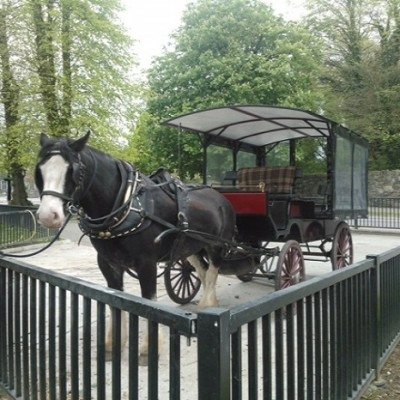 Killarney Horse tours 1