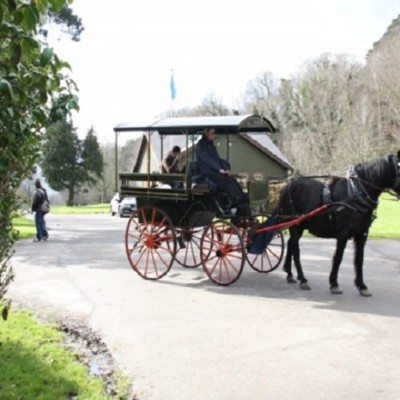 Killarney Horse tours 3