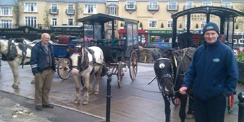 Killarney Horse & Carriage Tours main image