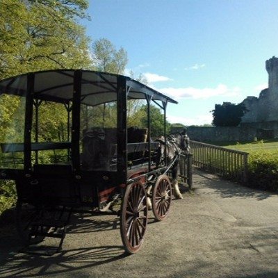 Killarney Horse tours2