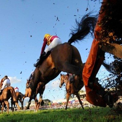 Killarney Racecourse 2